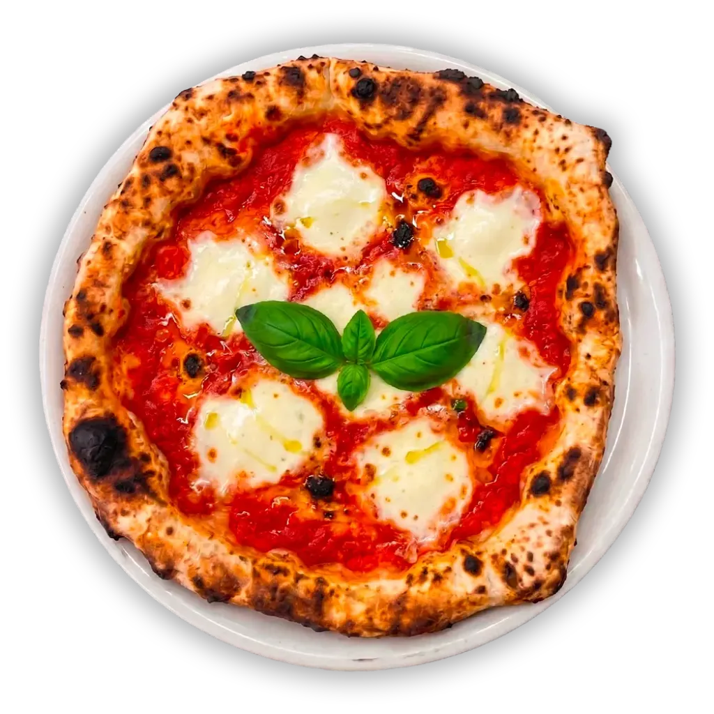 Pizza Margherita